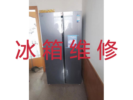西安专业电冰箱安装